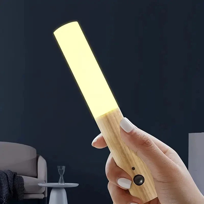 Intelligent Body Induction Light
